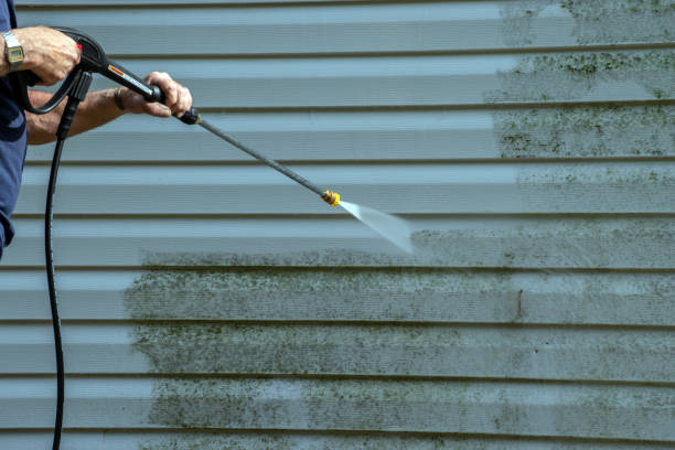 Best Affordable Pressure Washing  in Penitas, TX