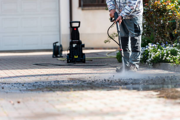 Best Best Pressure Washing Companies  in Penitas, TX