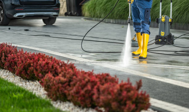 Best Concrete Pressure Washing  in Penitas, TX