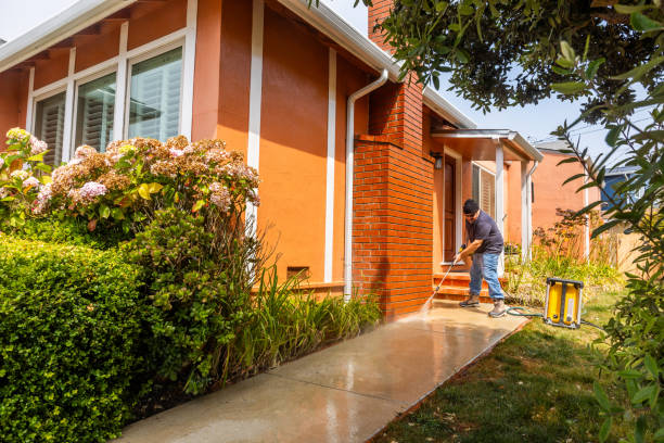 Best Exterior Home Cleaning  in Penitas, TX